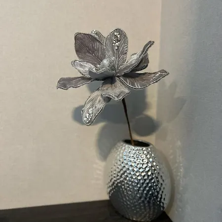 Apartamento Mountain Stars Kopaonik