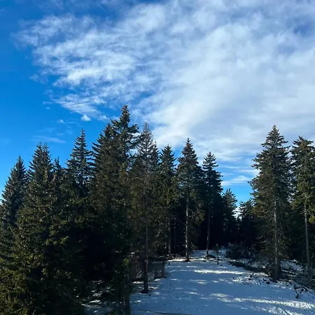 Lejlighed Mountain Stars *