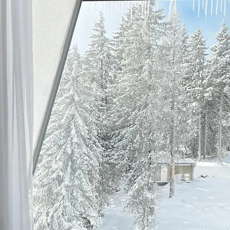 Mountain Stars Kopaonik