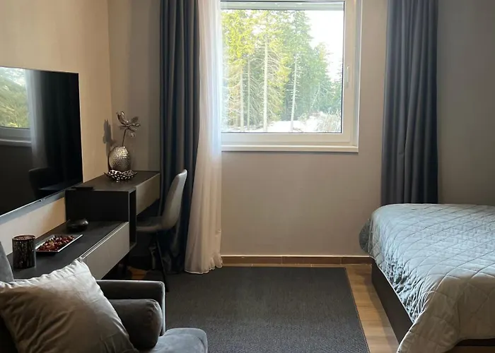 Apartment Mountain Stars Kopaonik