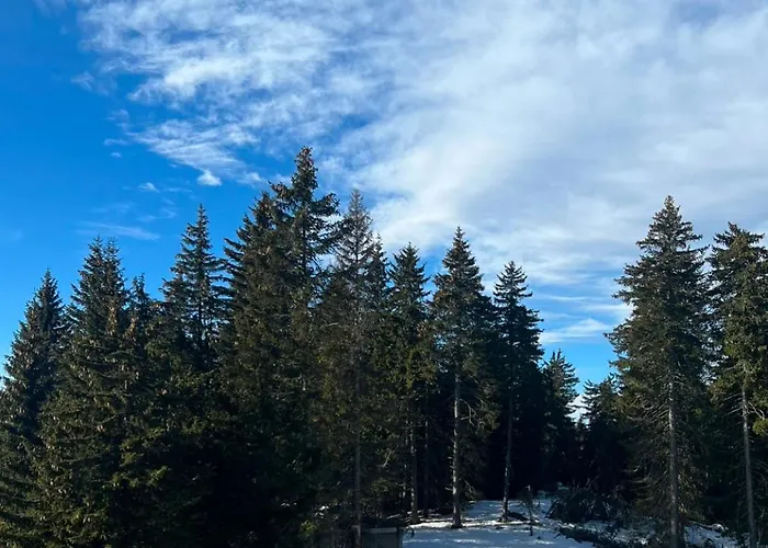 Apartment Mountain Stars *